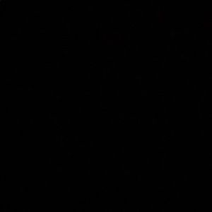 Meet your Posher, Mia